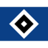 Logo HSV
